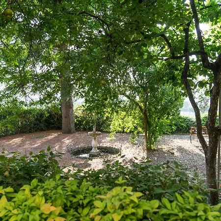 Гостевой дом Le Camerine Di Silvia 2 3*