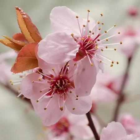 Maison d'hôtes Le Camerine Di Silvia 2 Sienne