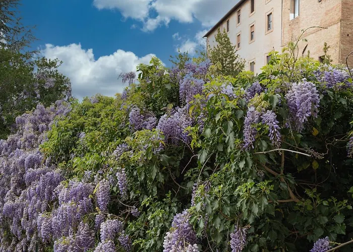 Le Camerine Di Silvia 2 Pensión 3*