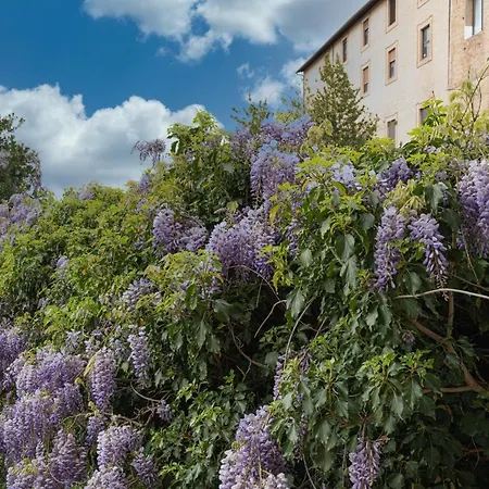 Le Camerine Di Silvia 2 Gasthof 3*