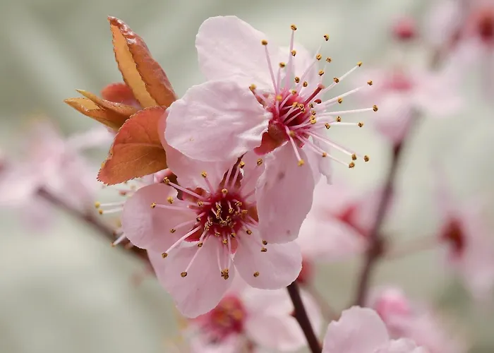 Gasthof Le Camerine Di Silvia 2 Siena